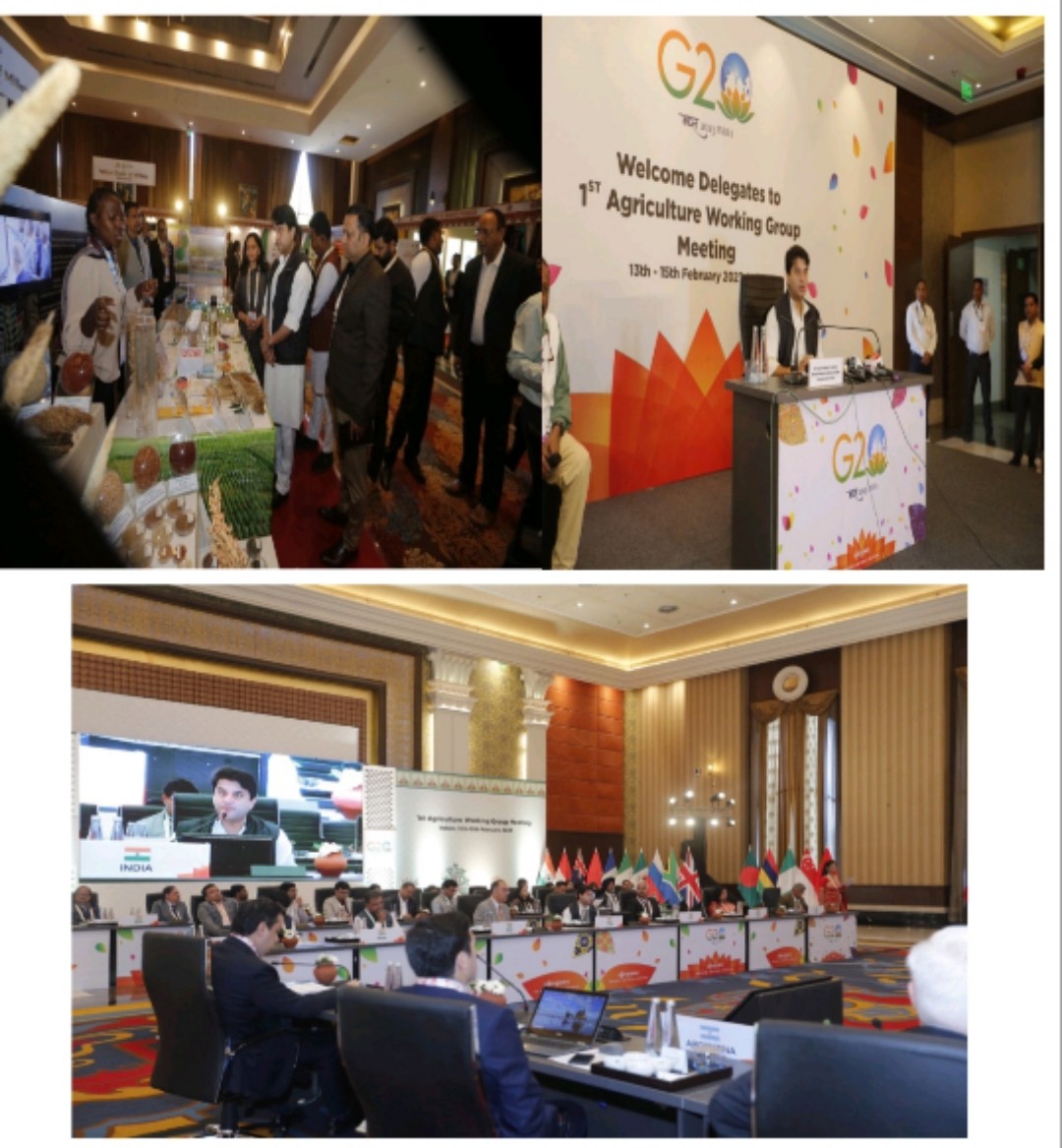 Polish_20230214_212123372