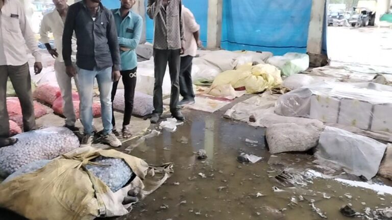 IMG_20230723_19250031