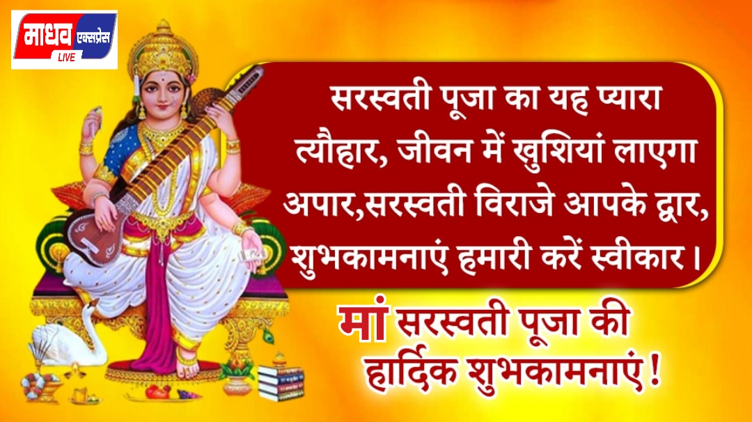 Polish_20240213_212852735