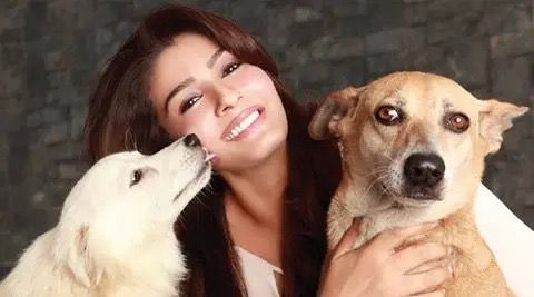 WhatsApp Image 2024-08-25 at 11.45.12 AM