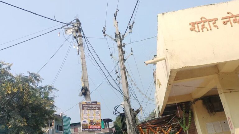 IMG_20241112_18243886