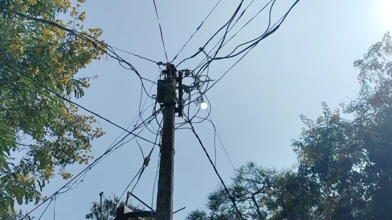 IMG_20241120_13155600