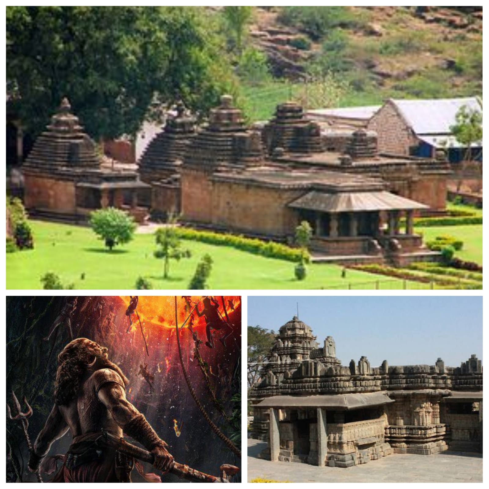 WhatsApp Image 2024-11-13 at 12.46.35 PM