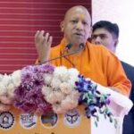 yogi