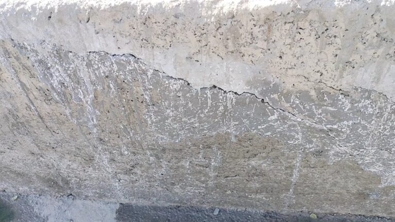 IMG_20250213_12554689