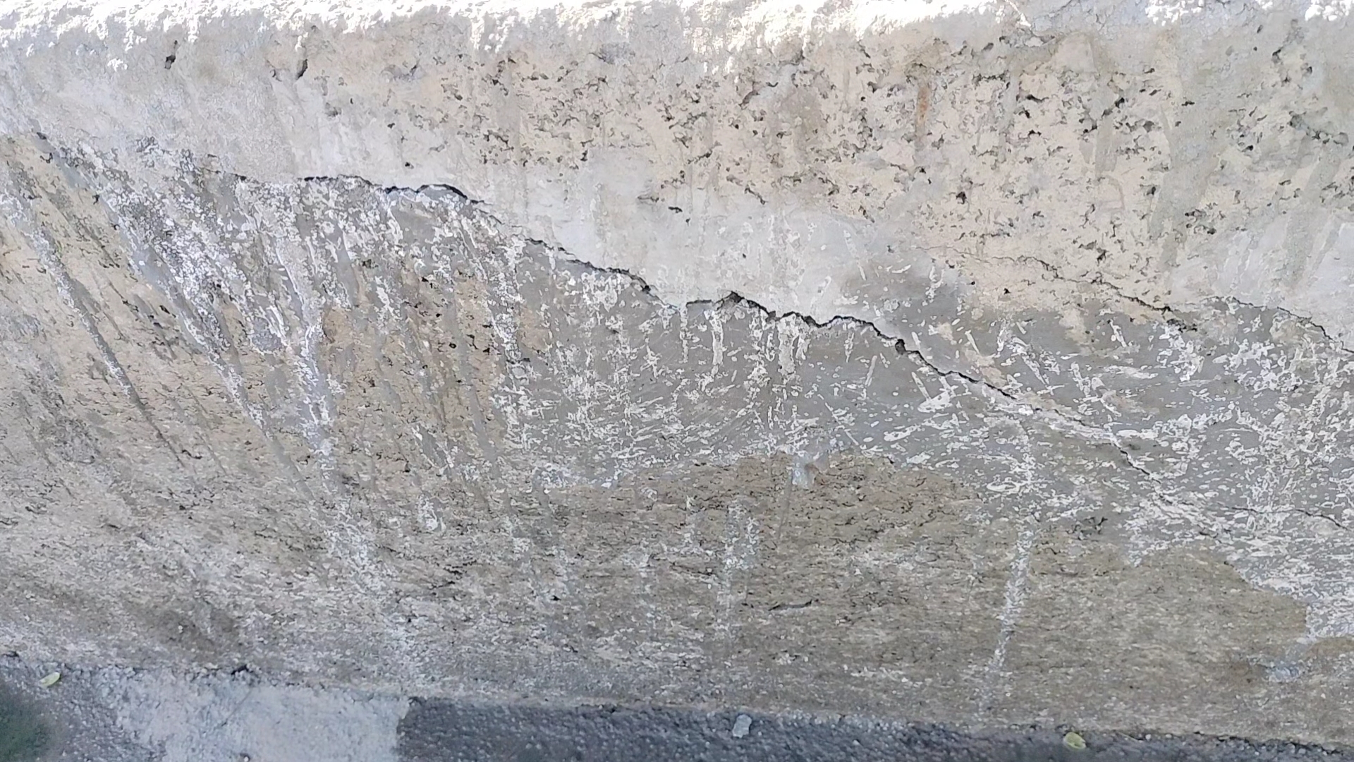 IMG_20250213_12554689