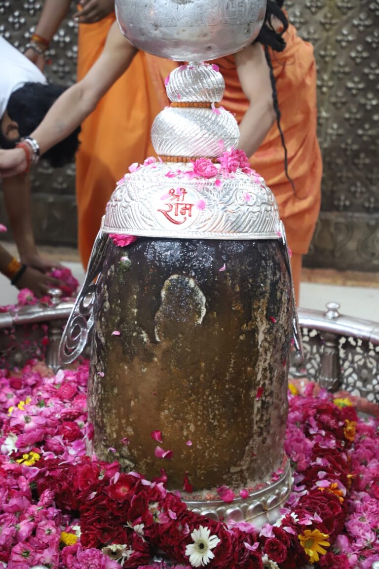 f03fe60d-17c6-456b-841c-52f4431bccf4