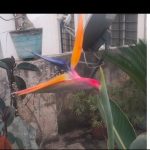 Screenshot_2026-02-02-00-18-00-20_6012fa4d4ddec268fc5c7112cbb265e7