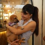 WhatsApp Image 2026-02-04 at 12.52.31 PM