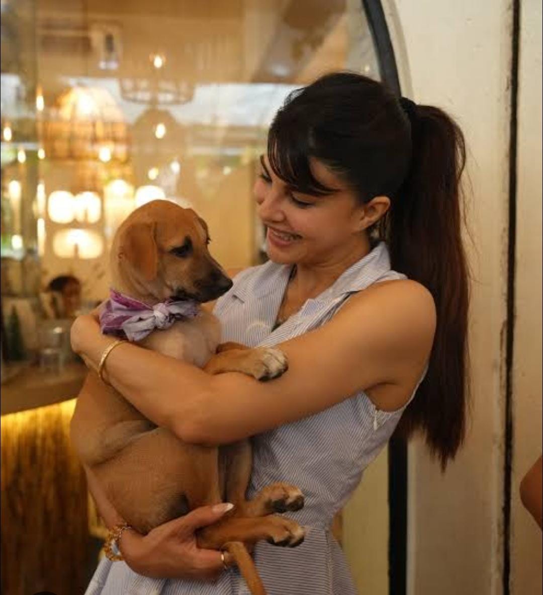 WhatsApp Image 2026-02-04 at 12.52.31 PM