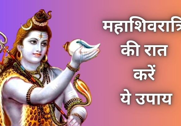 image_search_1770958680687