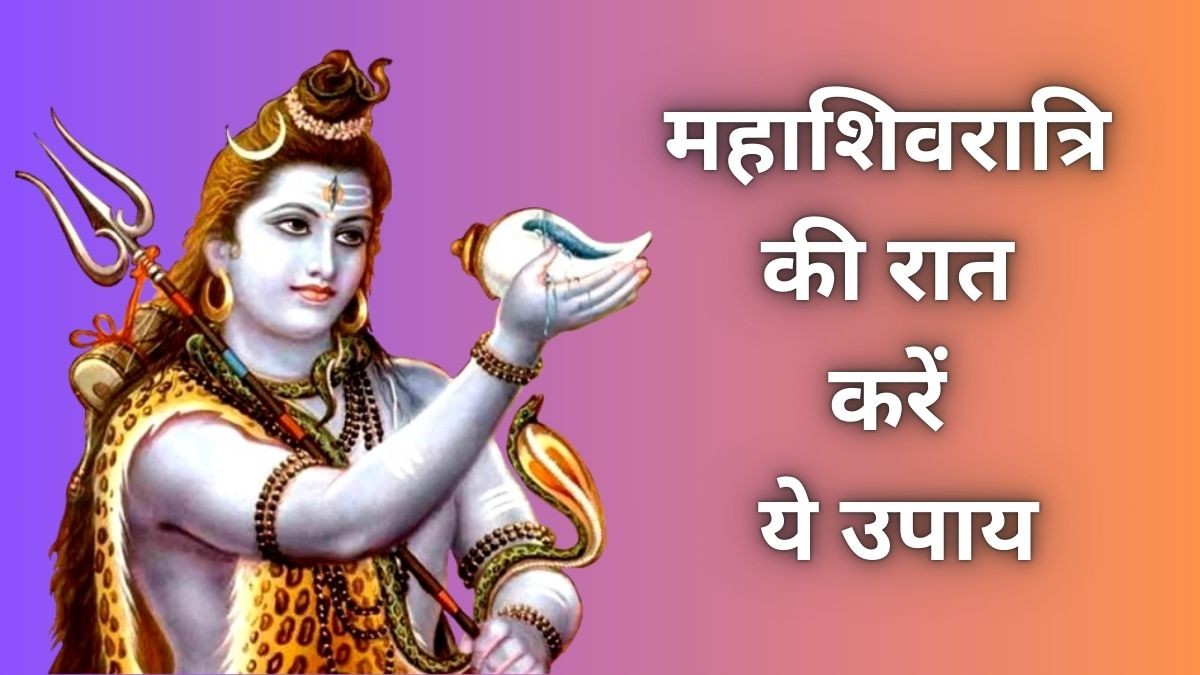 image_search_1770958680687