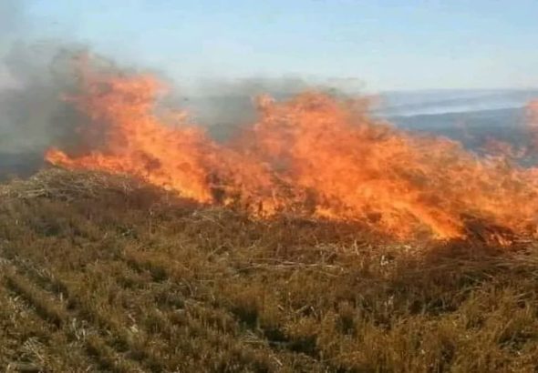 1200-675-23536254-thumbnail-16x9-narvai