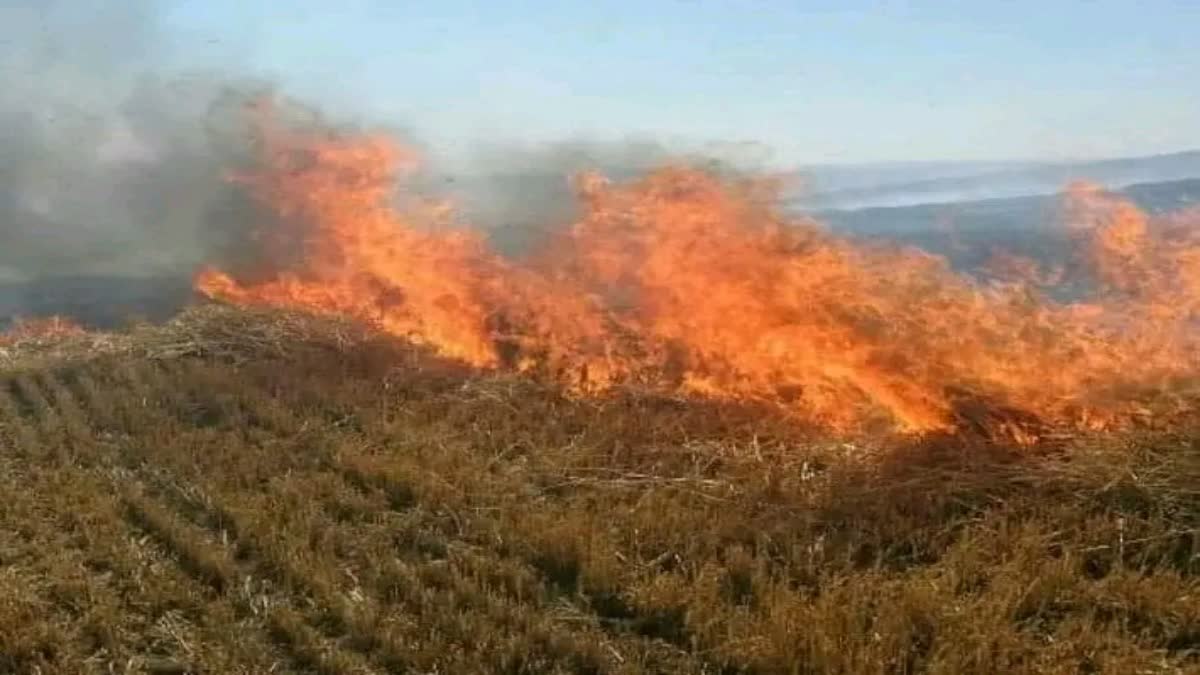 1200-675-23536254-thumbnail-16x9-narvai