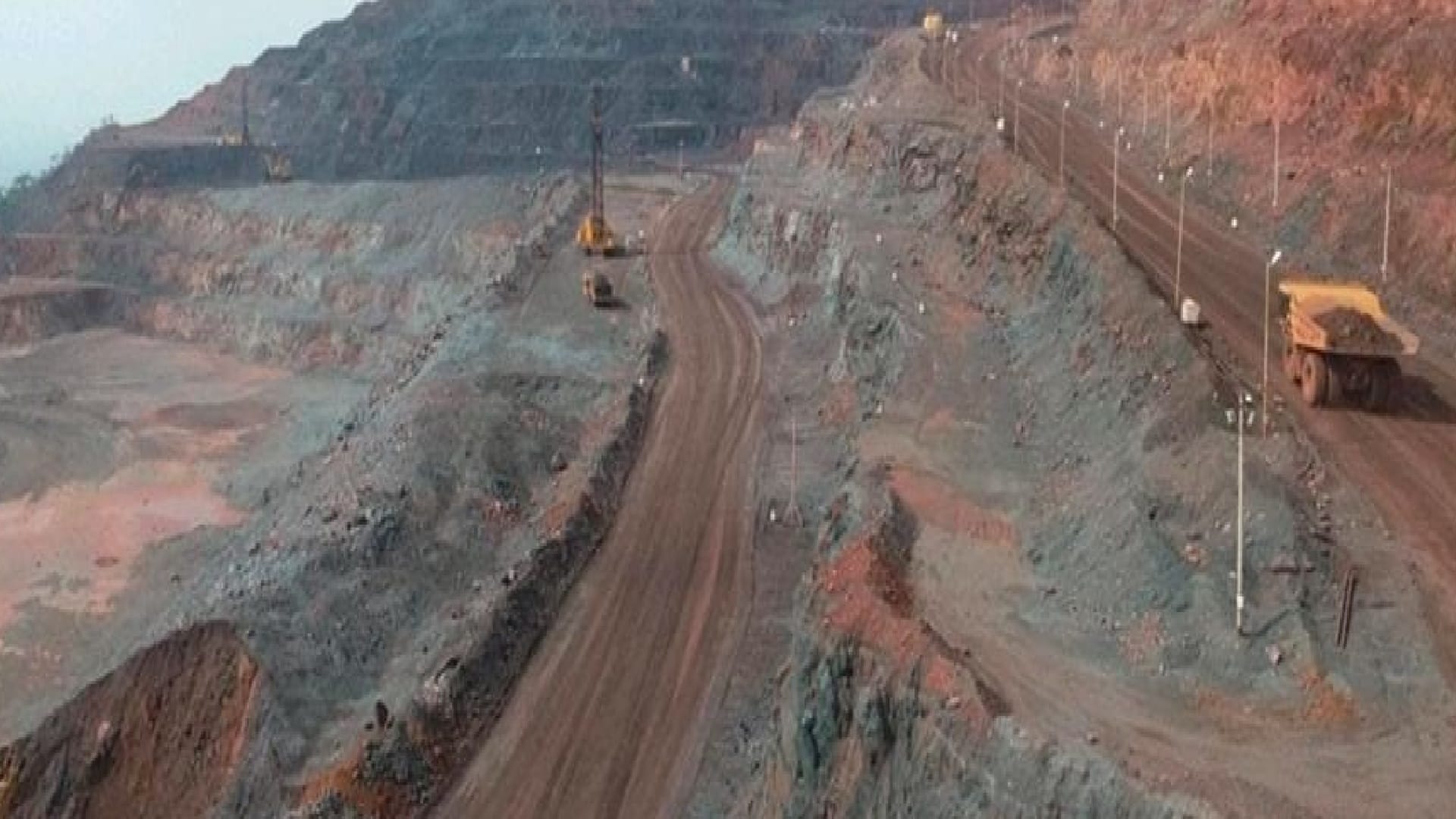 image_search_1775405750539