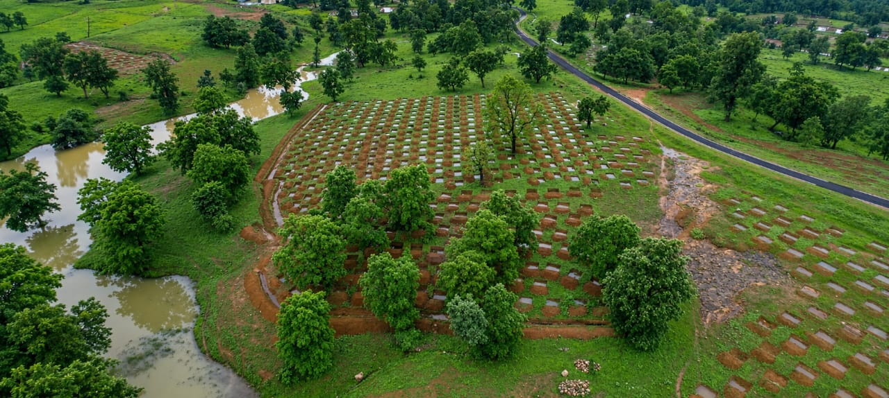aaaa