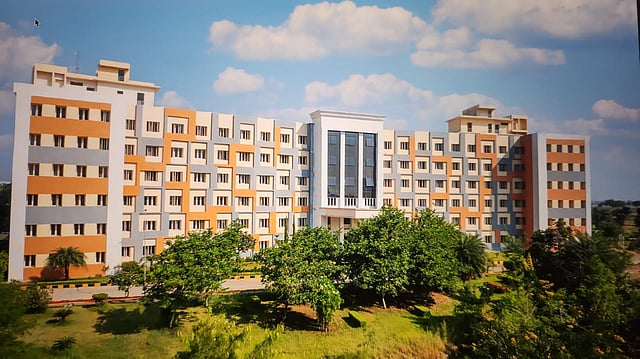 image_search_1788050077325