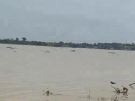 nadi