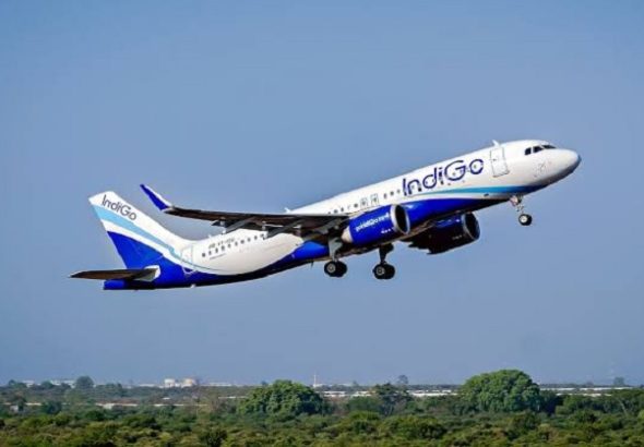 INDIGO