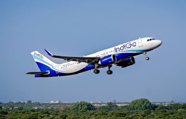 INDIGO