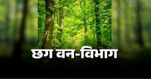 CG : वन विभाग में बड़ी फेरबदल, 102 वनक्षेत्रपालों के तबादले, देखें पूरी लिस्ट