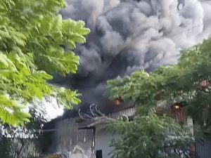 इंदौर में पेंट-केमिकल की फैक्ट्री में भीषण आग, दो और फैक्ट्रियों को भी चपेट में लिया, करोड़ों के नुकसान की आशंका